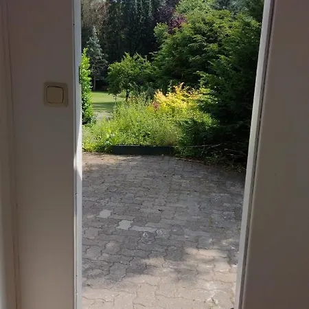 Chalet فندق