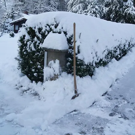 فندق Chalet 3*