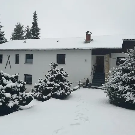 Chalet 3* باد ساخسا